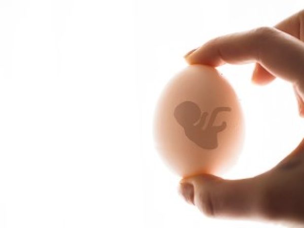Empowering Choices: A Guide to Egg Donation