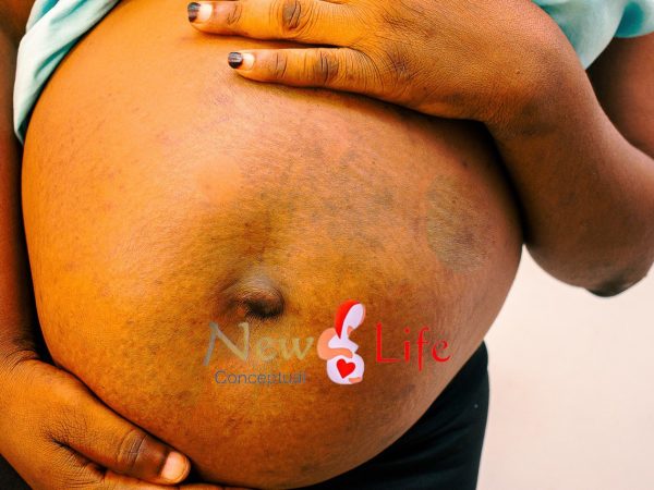 Navigating the Journey of Fertility: Understanding the Basics